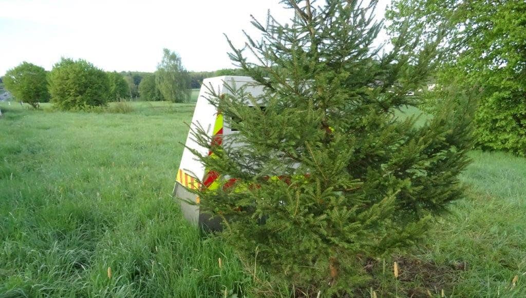 Verkehrsüberwachungskamera hinter Baum auf Feld